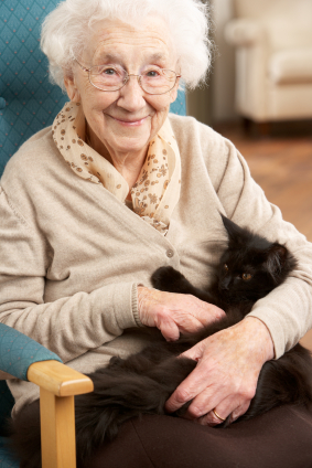 Pet Will Elderly Parents in North San Diego County